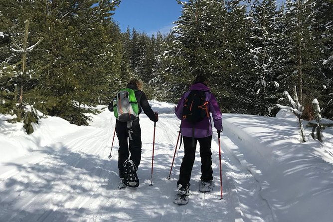 the-best-of-bansko-magical-snowshoeing-adventure-spa