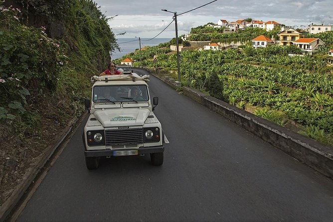 the-best-of-the-south-jeep-safari-tour-full-day