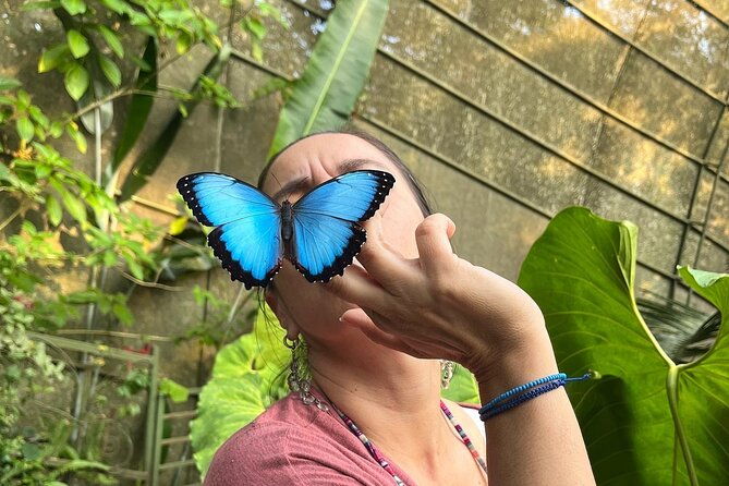 the-best-thing-to-do-in-cali-butterfly-park