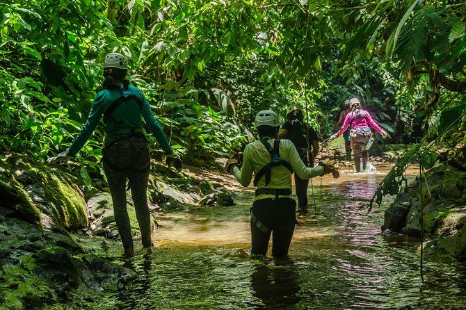 the-canoning-jungle-adventure