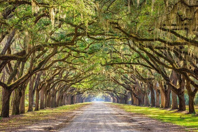 the-history-buff-savannah-walking-tour-2