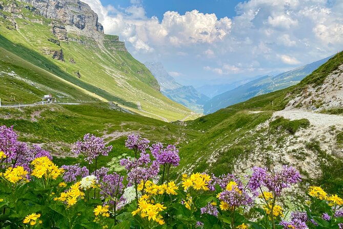 the-natural-wonders-of-switzerland-private-tour-from-basel-1-day