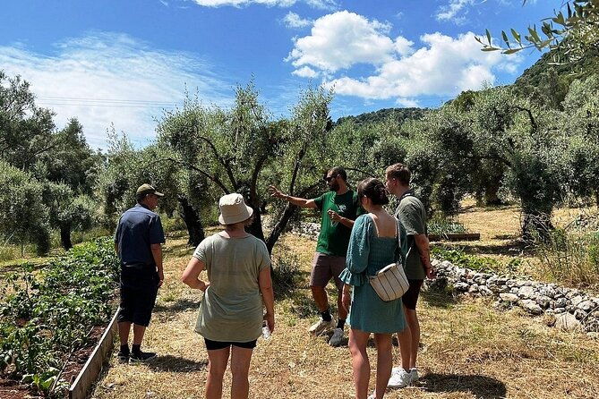 the-olive-oil-experience-lefkada-micro-farm-2