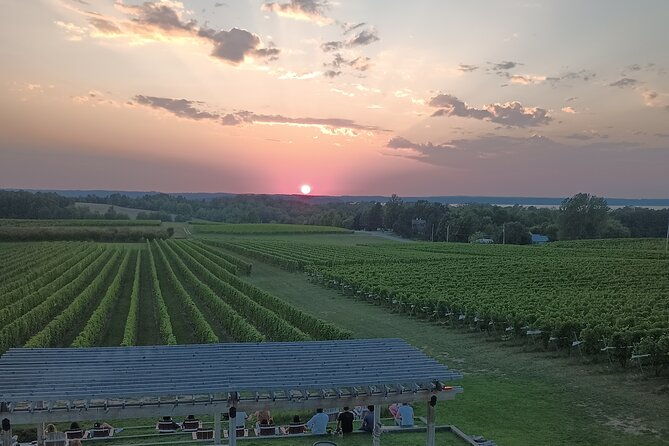the-proposal-and-engagement-traverse-city-wine-tour