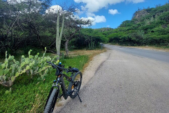 the-spanish-lagoon-gold-mills-nature-heritage-e-bike-aruba