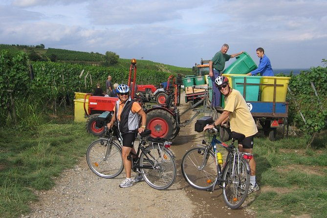 through-alsace-vineyards-and-wine-villages-private-bike-tour