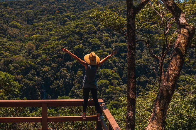 tijuca-forest-trail-specialized-guide-and-photos