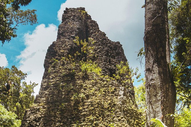tikal-small-group-all-included-from-flores