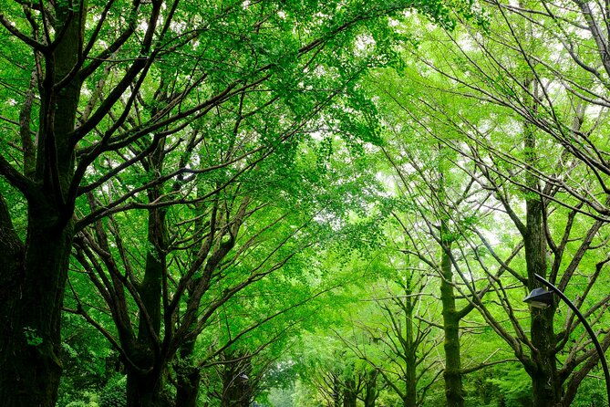tokyo-hikarigaoka-park-photo-shooting