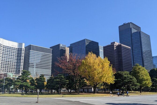 tokyo-imperial-palace-higashi-gyoen-wellness-tour