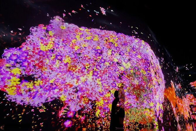 tokyo-teamlab-borderless-museum-admission-ticket