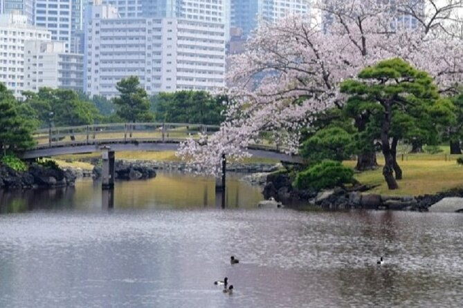tokyo-tsukiji-hamarikyu-gardens-wellness-tour-walk-and-relax