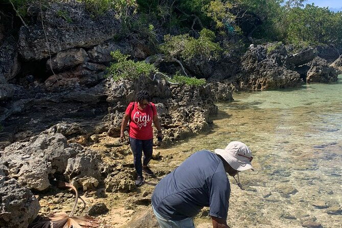 tom-moores-jungle-and-eco-tour