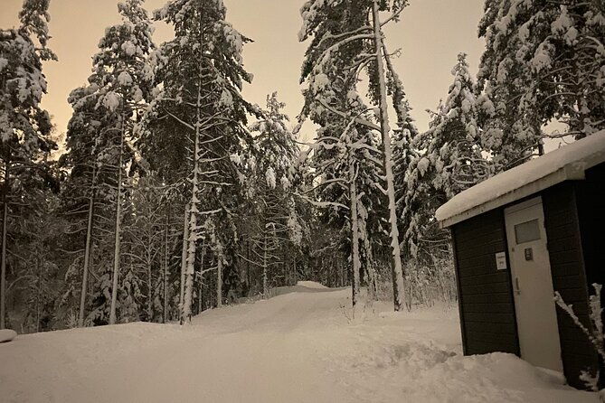 top-of-oslo-snowshoe-tour