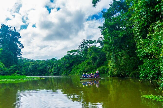 tortuguero-canoe-tour-night-jungle-or-spawn-turtle