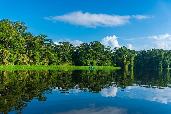 tortuguero-canoe-tour-night-jungle-tour-cerro-viewpoint-tour
