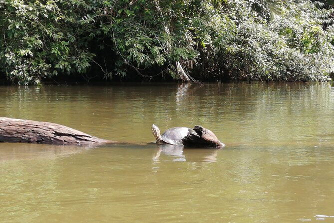 tortuguero-national-park-canal-tour-with-canoe