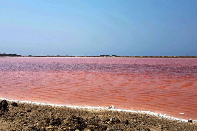 totumo-volcano-and-mar-rosa-tour-in-cartagena-with-lunch
