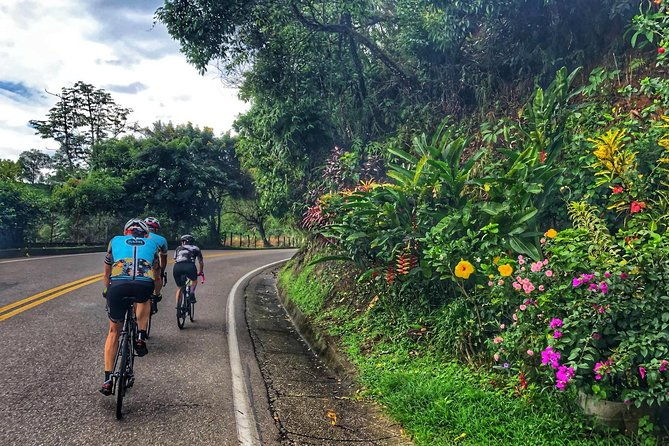 tour-alto-de-letras-the-big-challenge