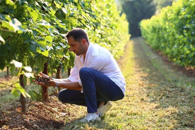 tour-and-tasting-in-the-hills-of-prosecco-superiore-docg