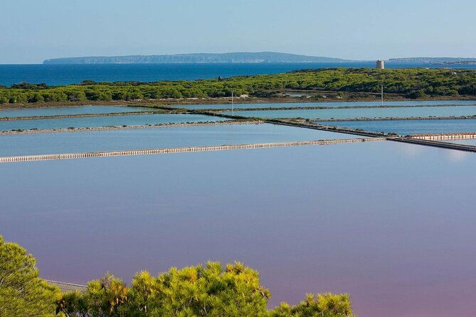 tour-around-the-jewels-of-ibiza-salt-beds-es-vedra-time-space