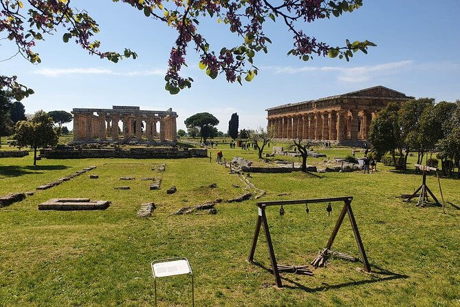 tour-at-the-temples-and-the-national-museum-of-paestum