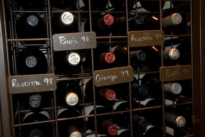 tour-in-ribera-del-duero-like-a-native-with-traditional-spanish-tapas