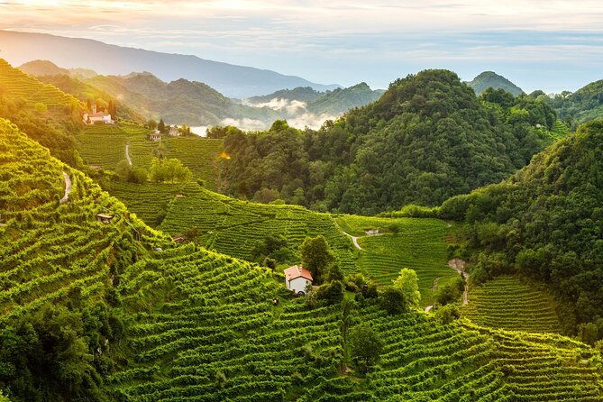 tour-in-the-prosecco-hills-tour-from-padua-2