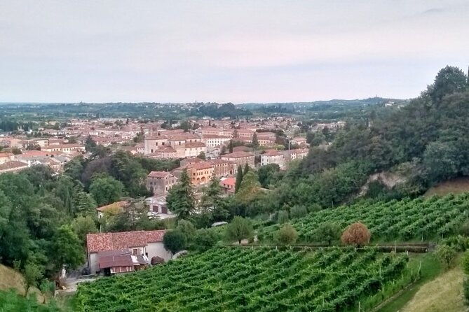 tour-in-the-prosecco-hills-tour-from-padua