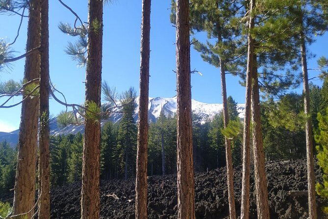tour-of-etna-on-foot-food-and-wine-tasting-in-the-etna-winery
