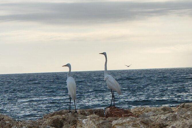 tour-privado-bilingue-ingles-espanol-en-cartagena-y-alrededores