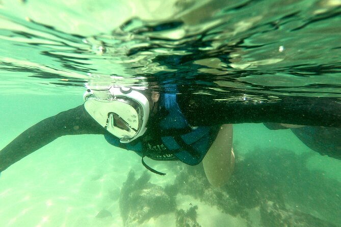 tour-to-bombinhas-with-snorkeling-experience