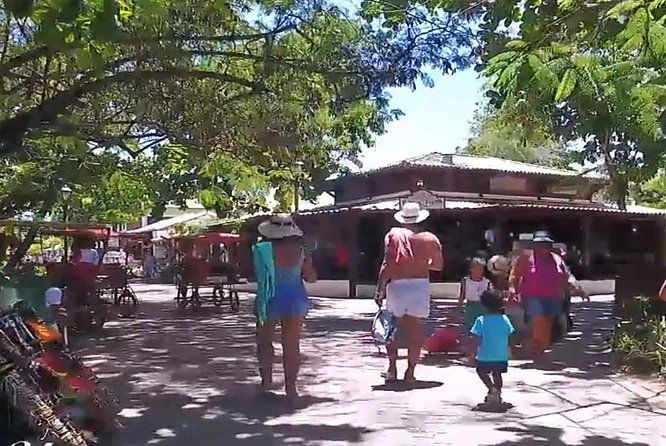 tour-to-praia-do-forte-and-guarajuba
