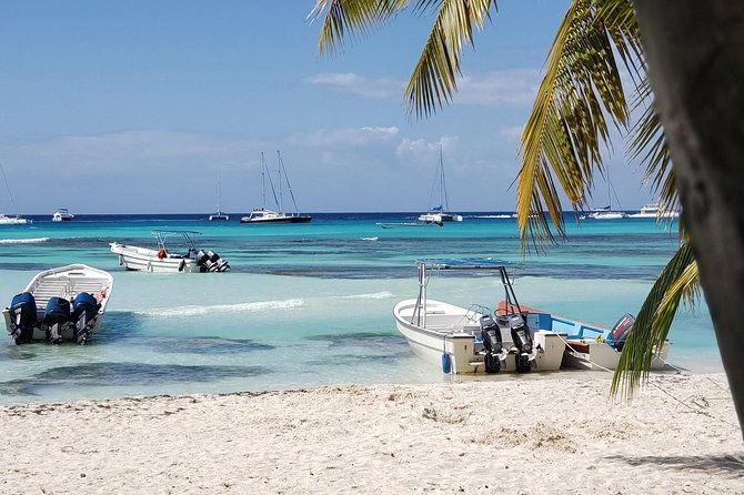 tour-to-saona-island