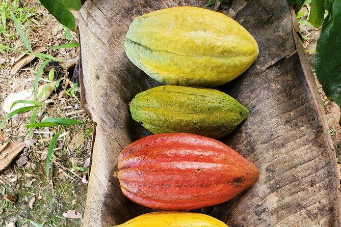 traditional-chocolate-making-in-belize