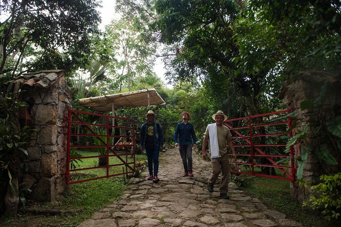 traditional-coffee-farm-experience-at-hacienda-coloma-from-bogota
