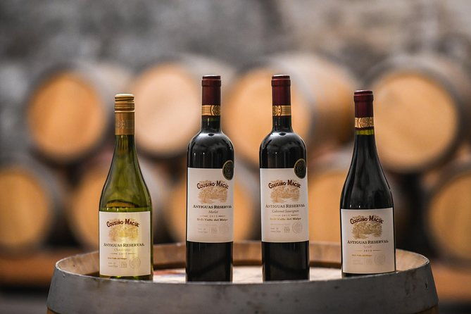 traditional-tour-vina-cousino-macul-official-portuguese