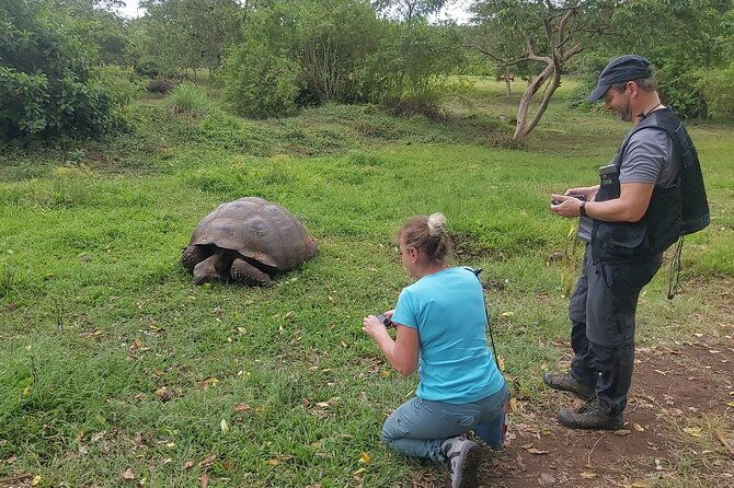 transfer-airport-hotel-in-galapagos-santa-cruz-with-visit-to-giant-tortoises