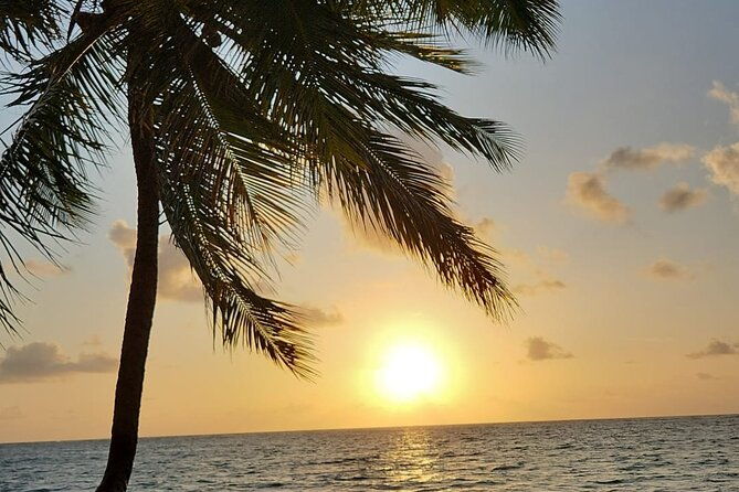 transfer-from-maceio-to-sao-miguel-dos-milagres