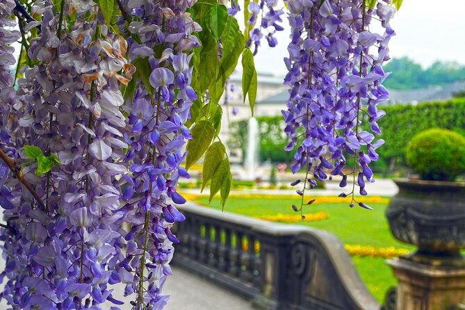 transfer-from-vienna-to-salzburg-private-daytrip-with-2-hours-for-sightseeing