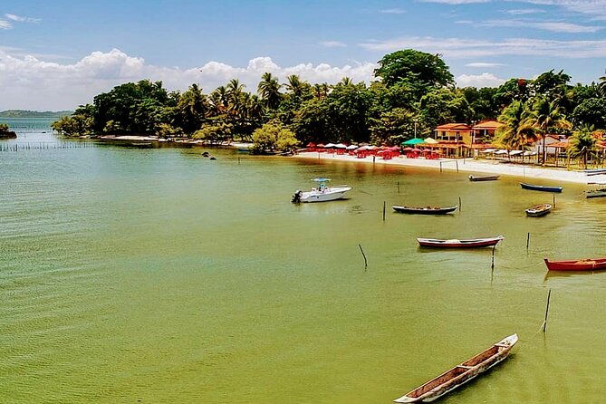 transfer-salvador-to-barra-grande-round-trip