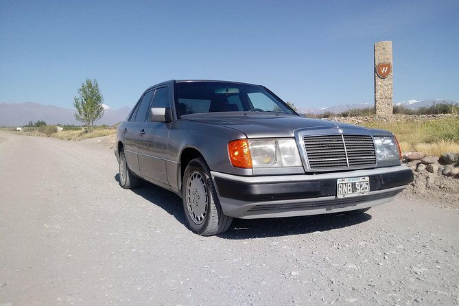 transportation-around-mendoza-or-others-states-trips-transfers