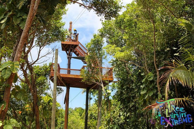 tree-limin-extreme-zipline