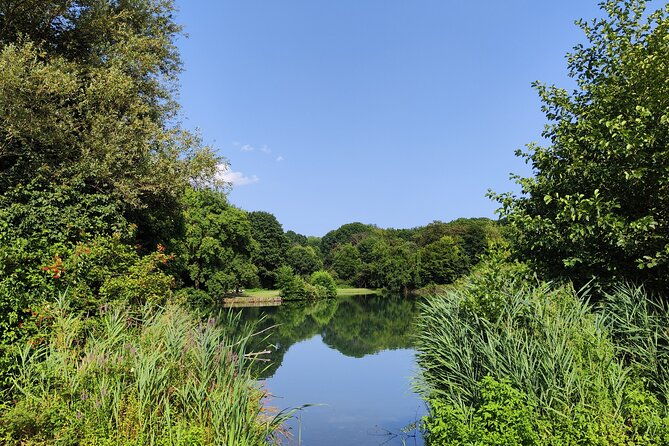 trekking-in-the-wood-with-picnic-on-the-turtles-lake