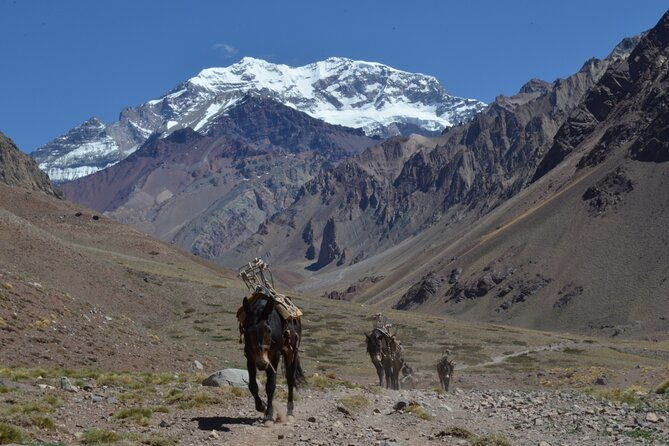 trekking-to-confluencia-aconcagua-first-base-camp