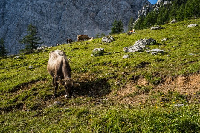 triglav-tour-in-2-days-slovenia