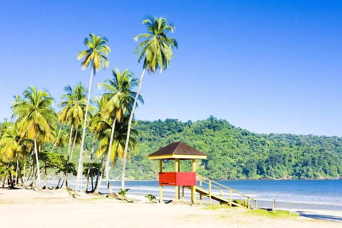 trinidad-highlights-and-scenic-drive-tour