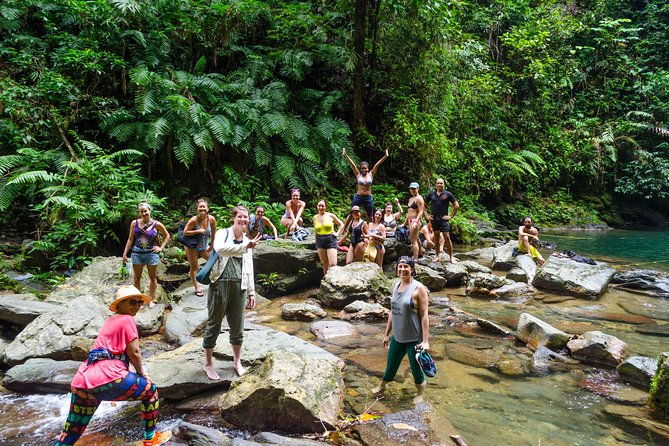 trinidad-rainforest-hike-to-waterfall