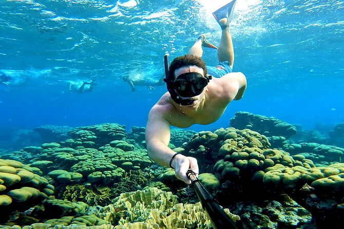 tropical-dream-snorkel-and-dinner-sail-in-aruba