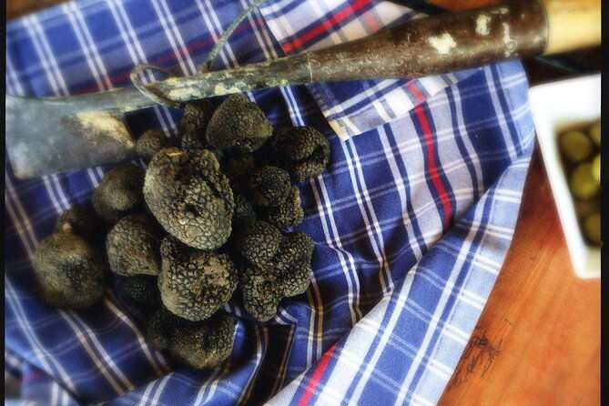 truffle-hunting-and-handmade-pasta-in-ascoli-piceno